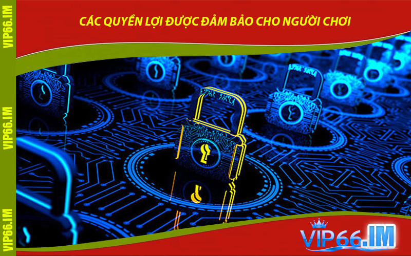 Các Quyền Lợi Được Đảm Bảo Cho Người Chơi