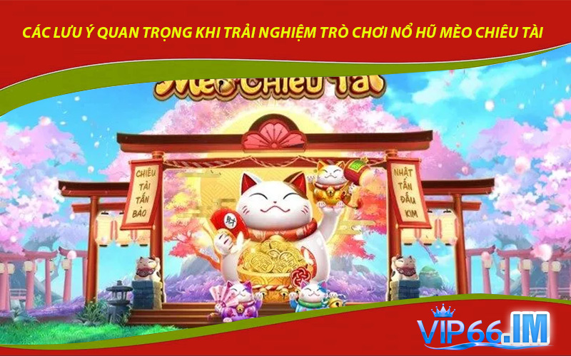 Các lưu ý quan trọng khi trải nghiệm trò chơi nổ hũ mèo chiêu tài