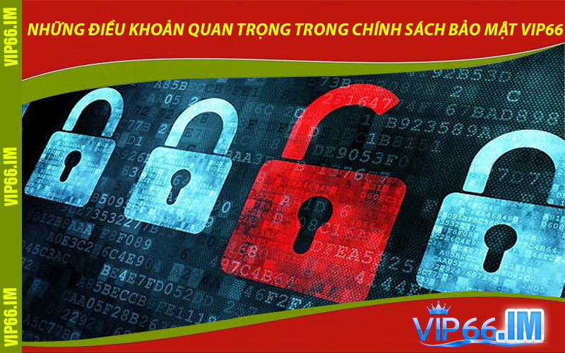 Những Điều Khoản Quan Trọng Trong Chính Sách Bảo Mật VIP66
