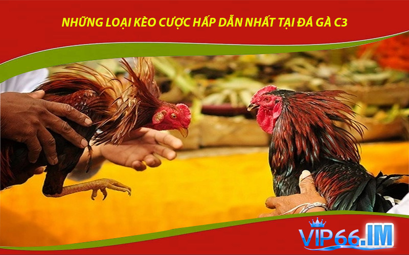 Những loại kèo cược hấp dẫn nhất tại đá gà C3