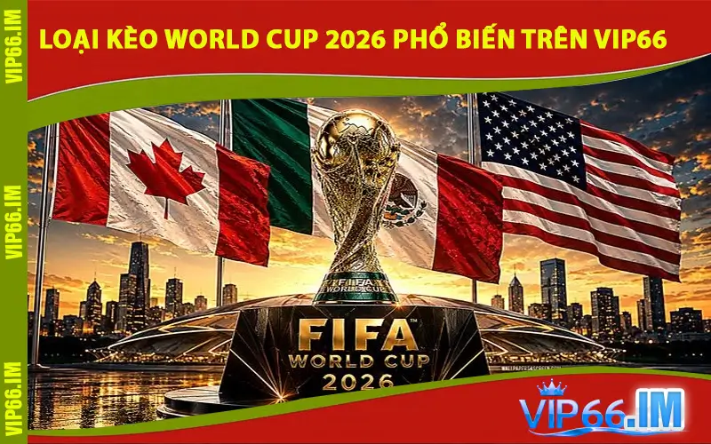 Các loại kèo World Cup 2026 phổ biến trên VIP66