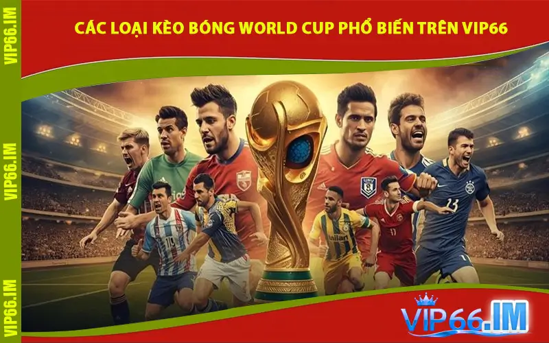 Các Loại Kèo Bóng World Cup Phổ Biến Trên VIP66