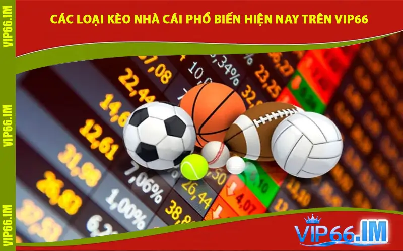 Các Loại Kèo Nhà Cái Phổ Biến Hiện Nay Trên VIP66