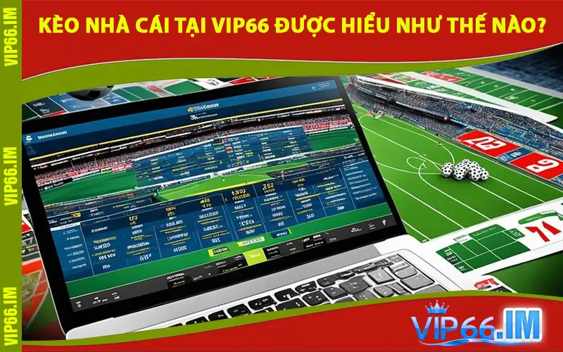 Kèo Nhà Cái Tại VIP66 Được Hiểu Như Thế Nào?