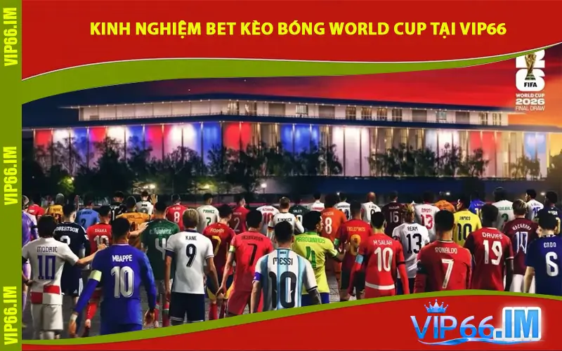 Kinh Nghiệm Bet Kèo Bóng World Cup Tại VIP66